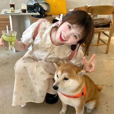 辛巴达与美人鱼公主