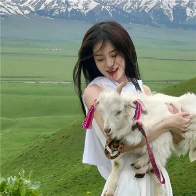 苹果饺子团又来了
